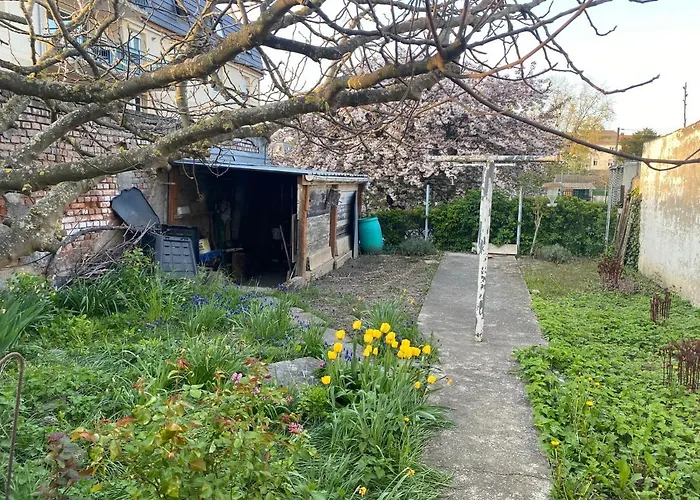 Petit Mulhouse 301 - Lovely Appartement - Cuisine - Wifi