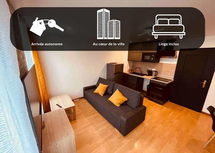 Petit Mulhouse 301 - Lovely Appartement - Cuisine - Wifi