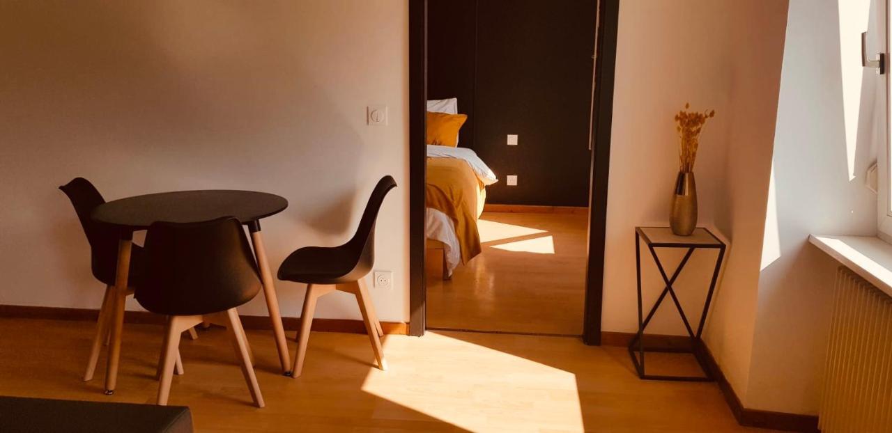 Petit 301 - Lovely - Cuisine - Wifi * Mulhouse