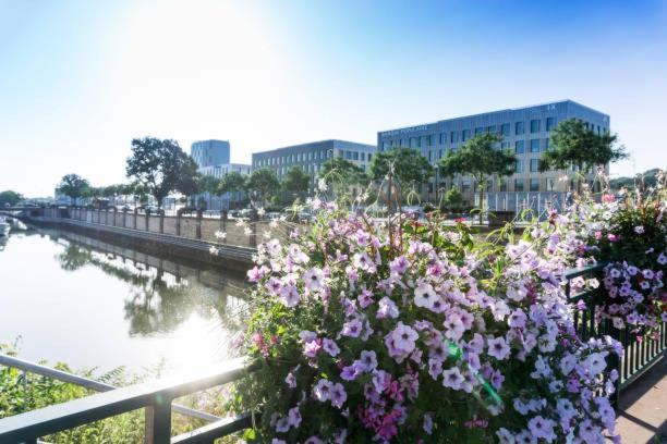 Apartment Petit 301 - Lovely - Cuisine - Wifi Mulhouse