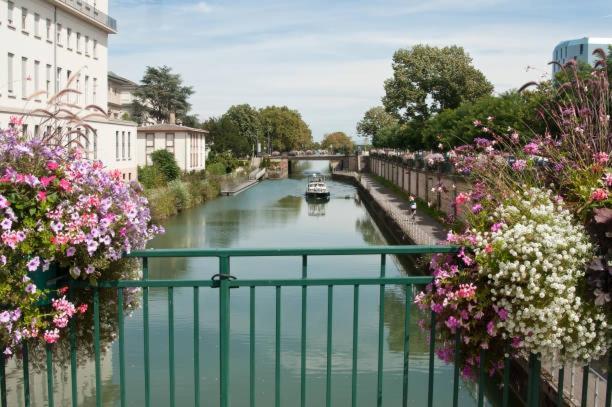 Petit 301 - Lovely - Cuisine - Wifi Mulhouse