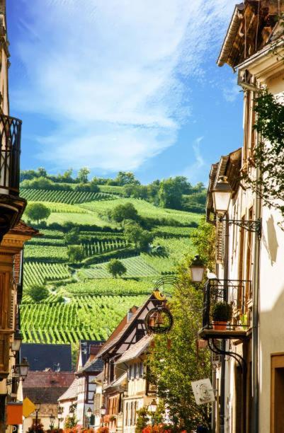 Petit 301 - Lovely - Cuisine - Wifi Apartment